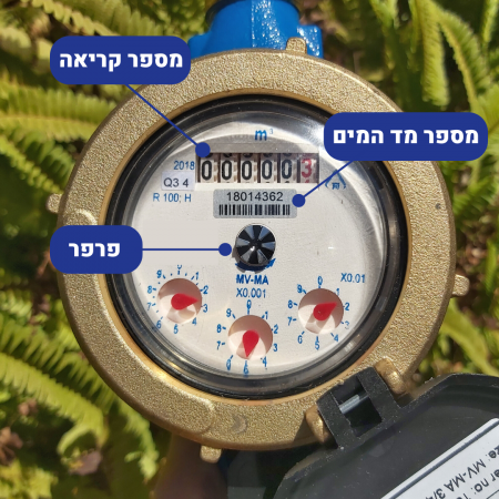 תמונה של מד מים ובו ניתן לראות את מספר מד המים, מספר הקריאה, ופרפר במרכז המד שנותן אינדיקציה על השימוש במים